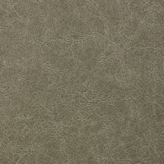 KRAVET CONTRACT REBOOT CROCODILE