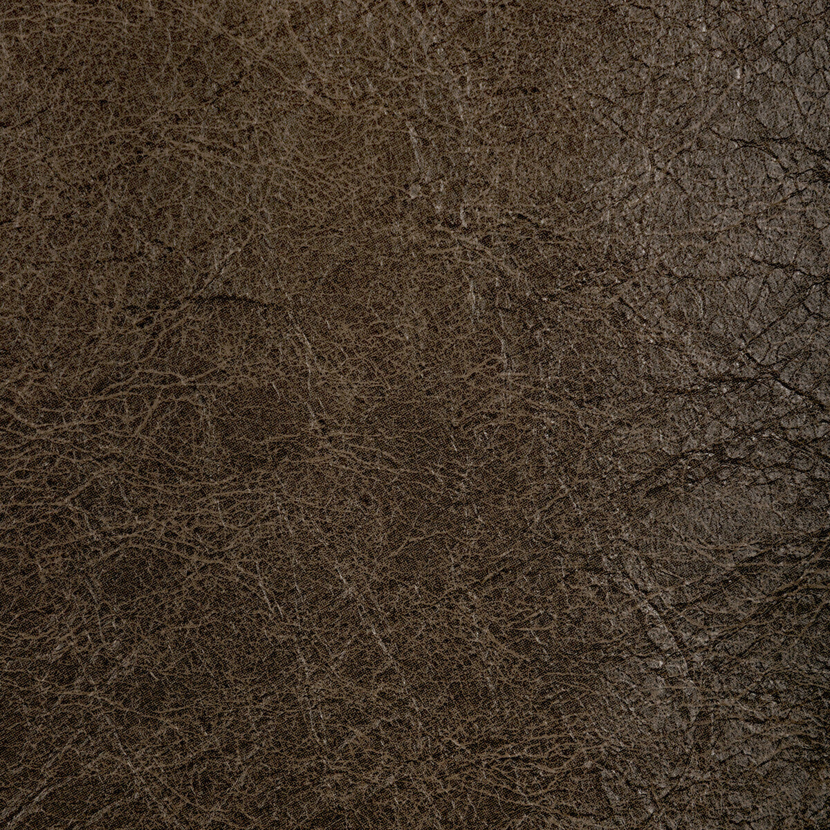 KRAVET CONTRACT REBOOT WALNUT