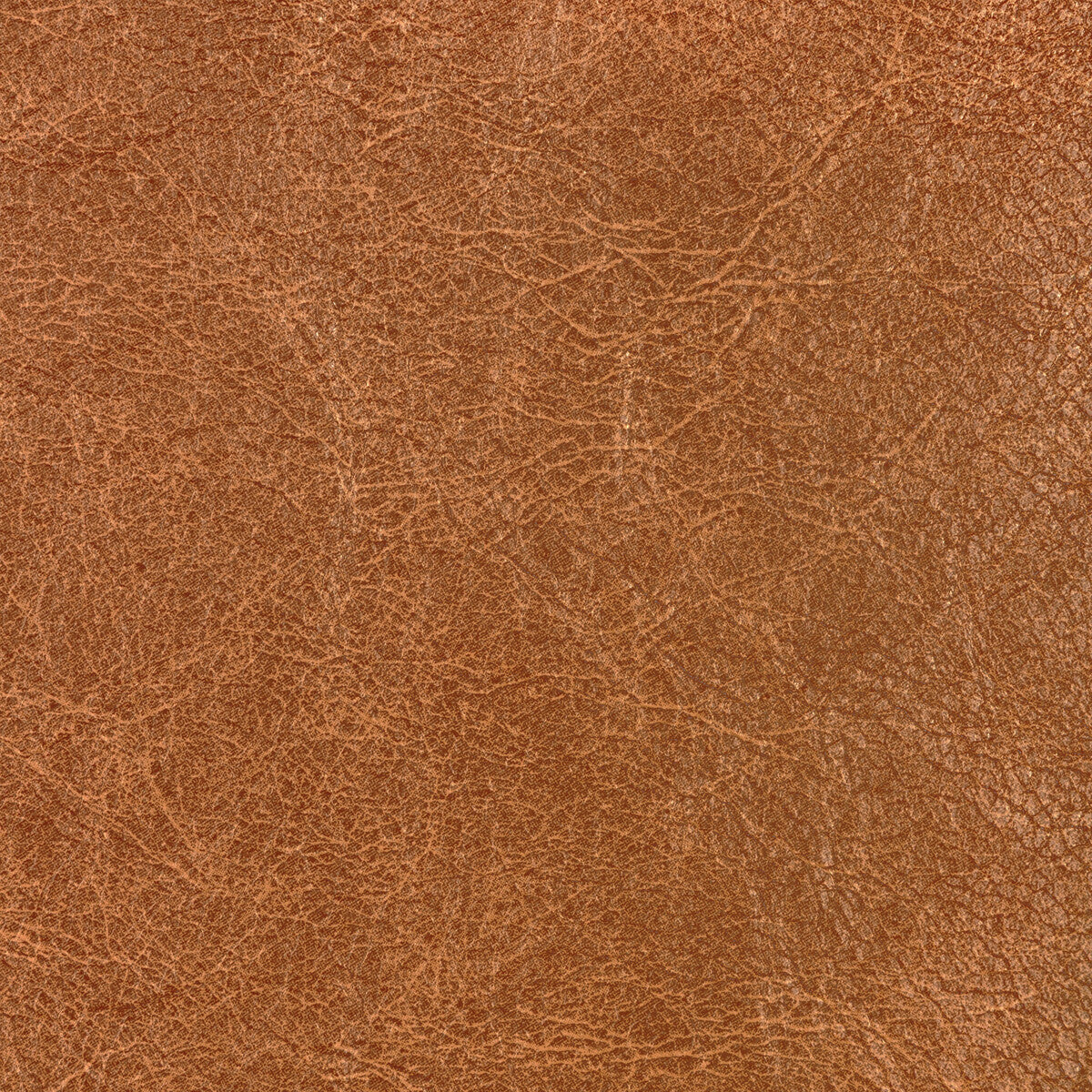 KRAVET CONTRACT REBOOT NUTMEG