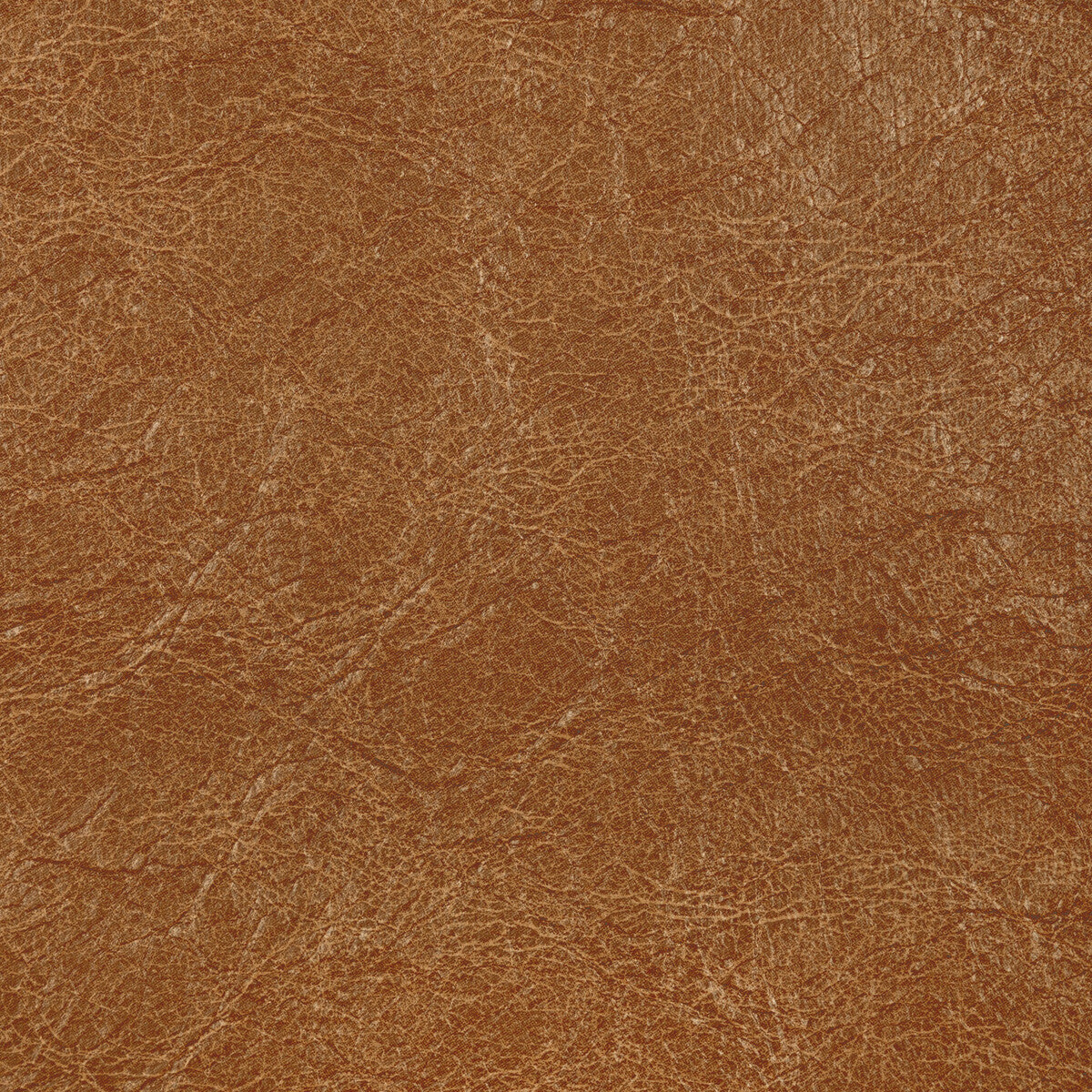 KRAVET CONTRACT REBOOT BUCK
