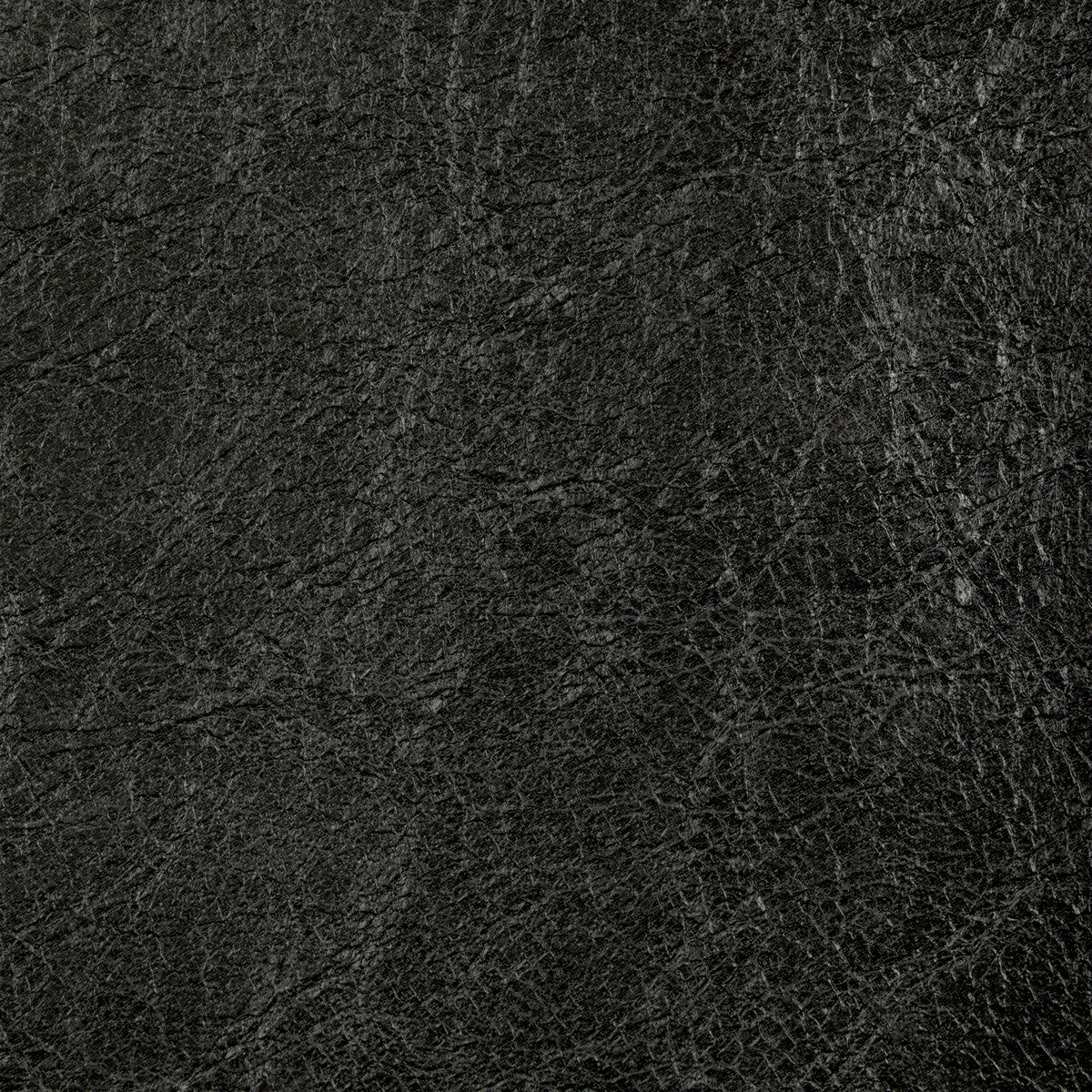 KRAVET CONTRACT REBOOT MIDNIGHT