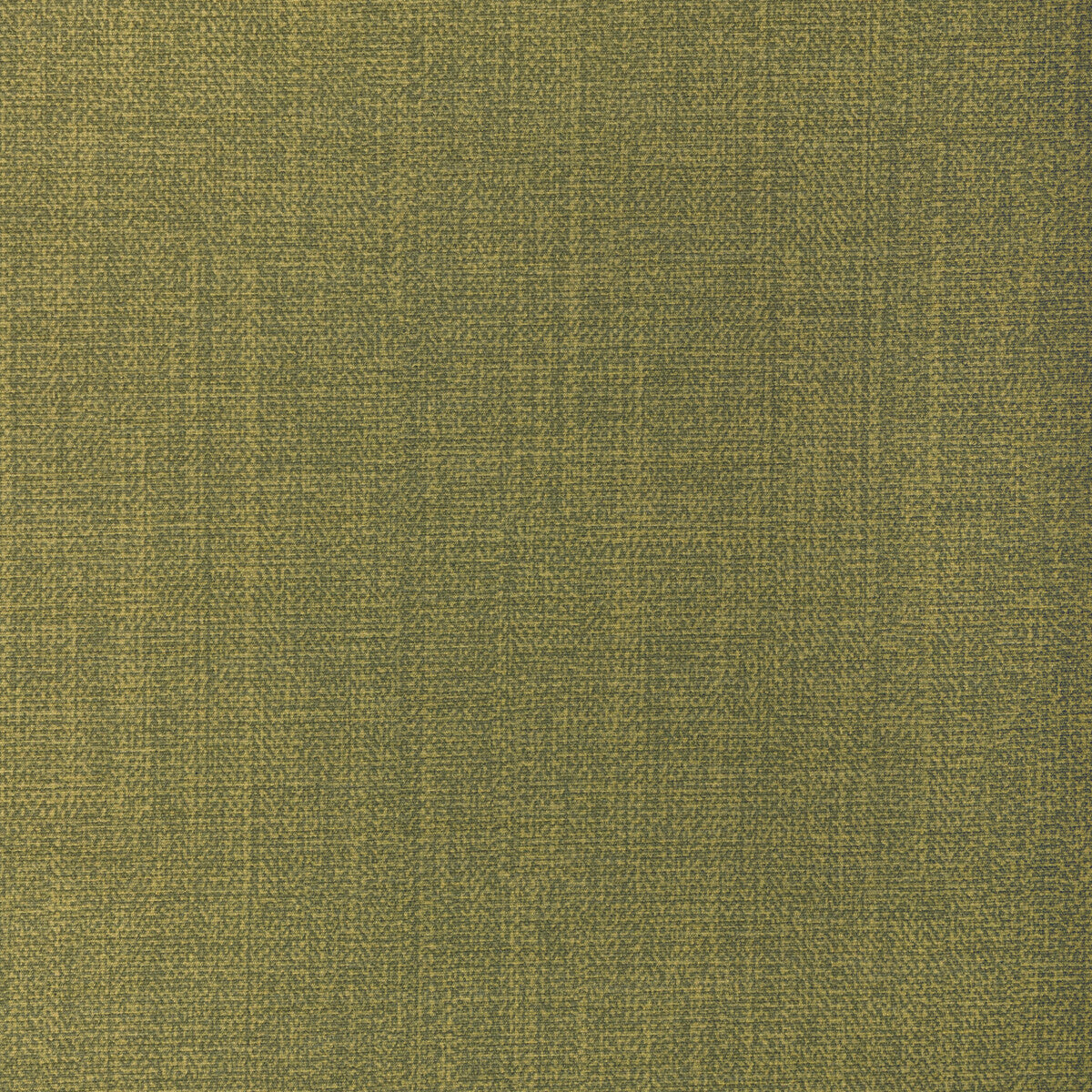 KRAVET CONTRACT REMIX CACTUS