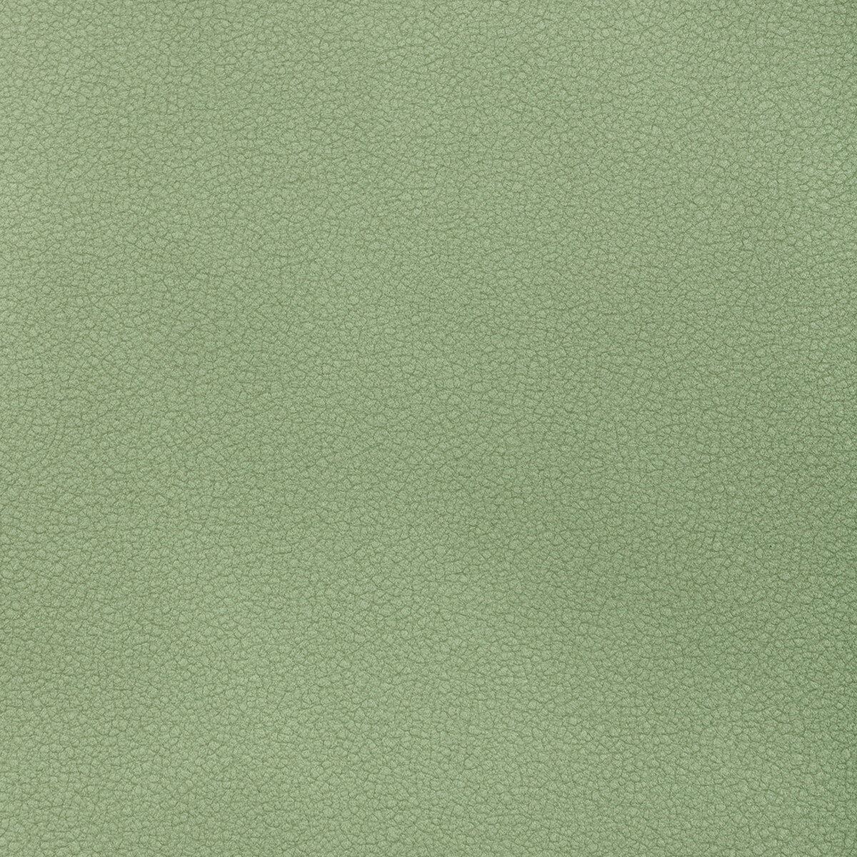 KRAVET CONTRACT RESET SPEARMINT