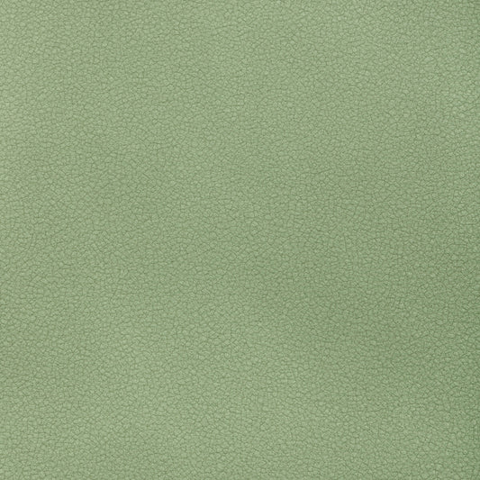 KRAVET CONTRACT RESET SPEARMINT