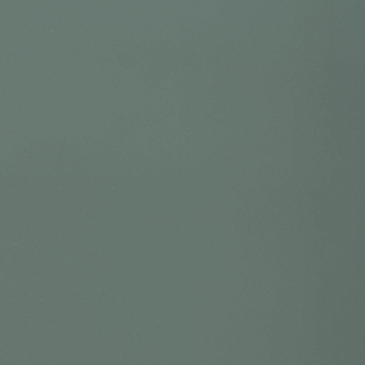 KRAVET CONTRACT RETOUCH SHARK