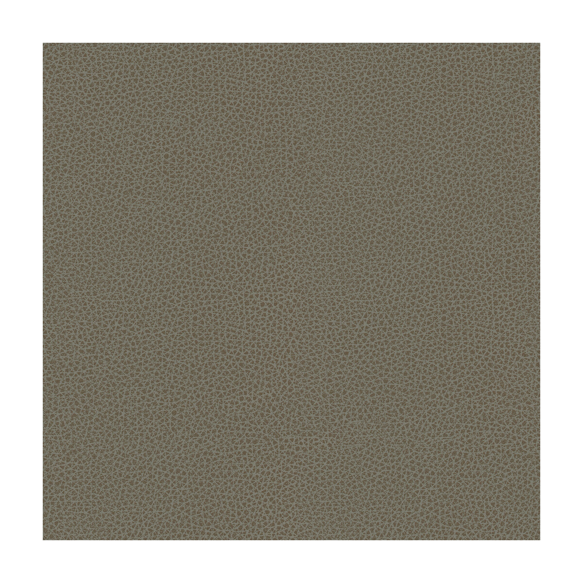 KRAVET DESIGN KRAVET DESIGN RIGEL-11