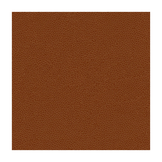 KRAVET SMART KRAVET DESIGN RIGEL-24