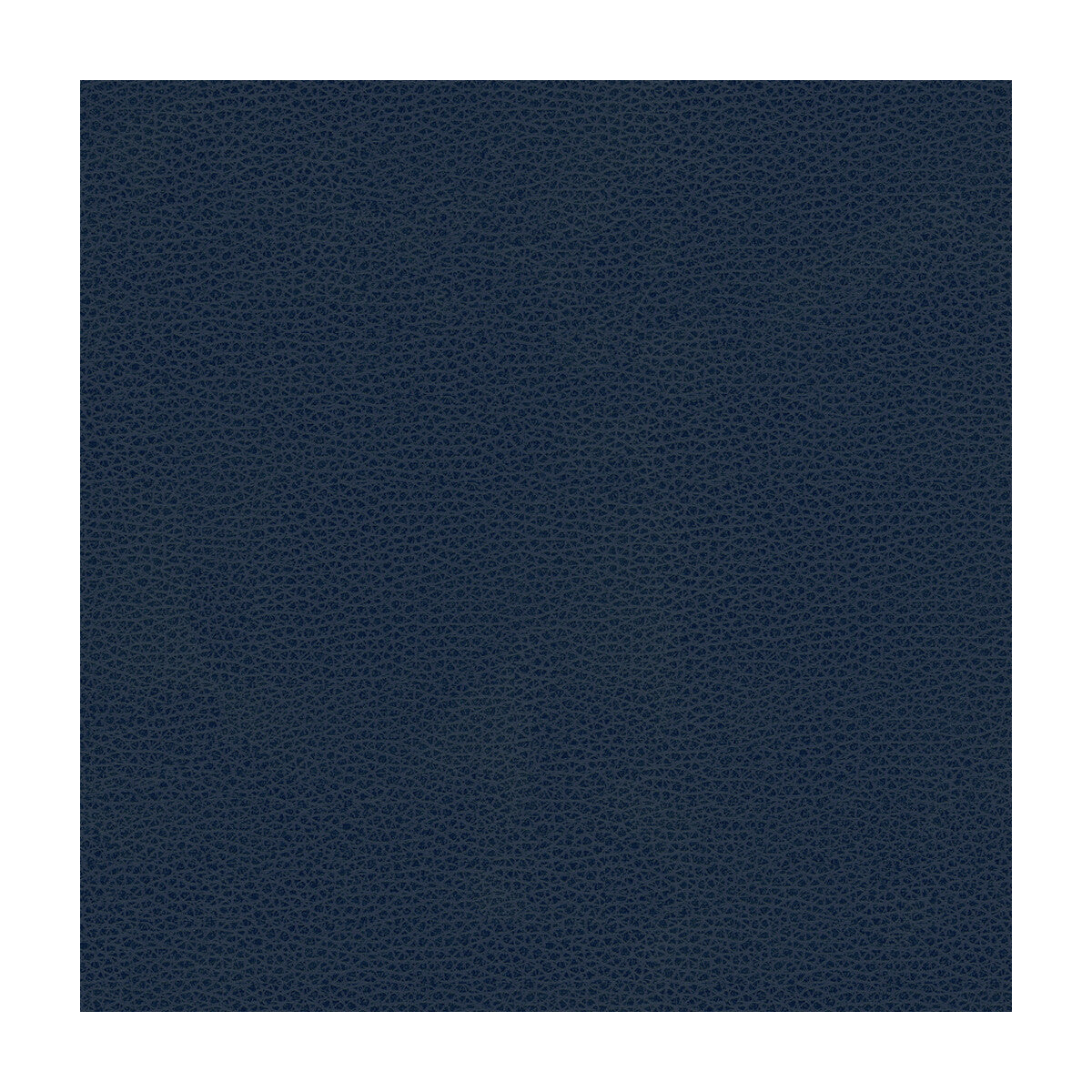 KRAVET DESIGN KRAVET DESIGN RIGEL-5