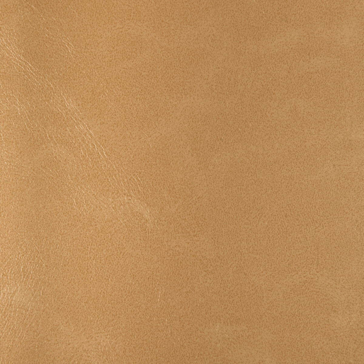 KRAVET DESIGN KRAVET DESIGN RIND-116