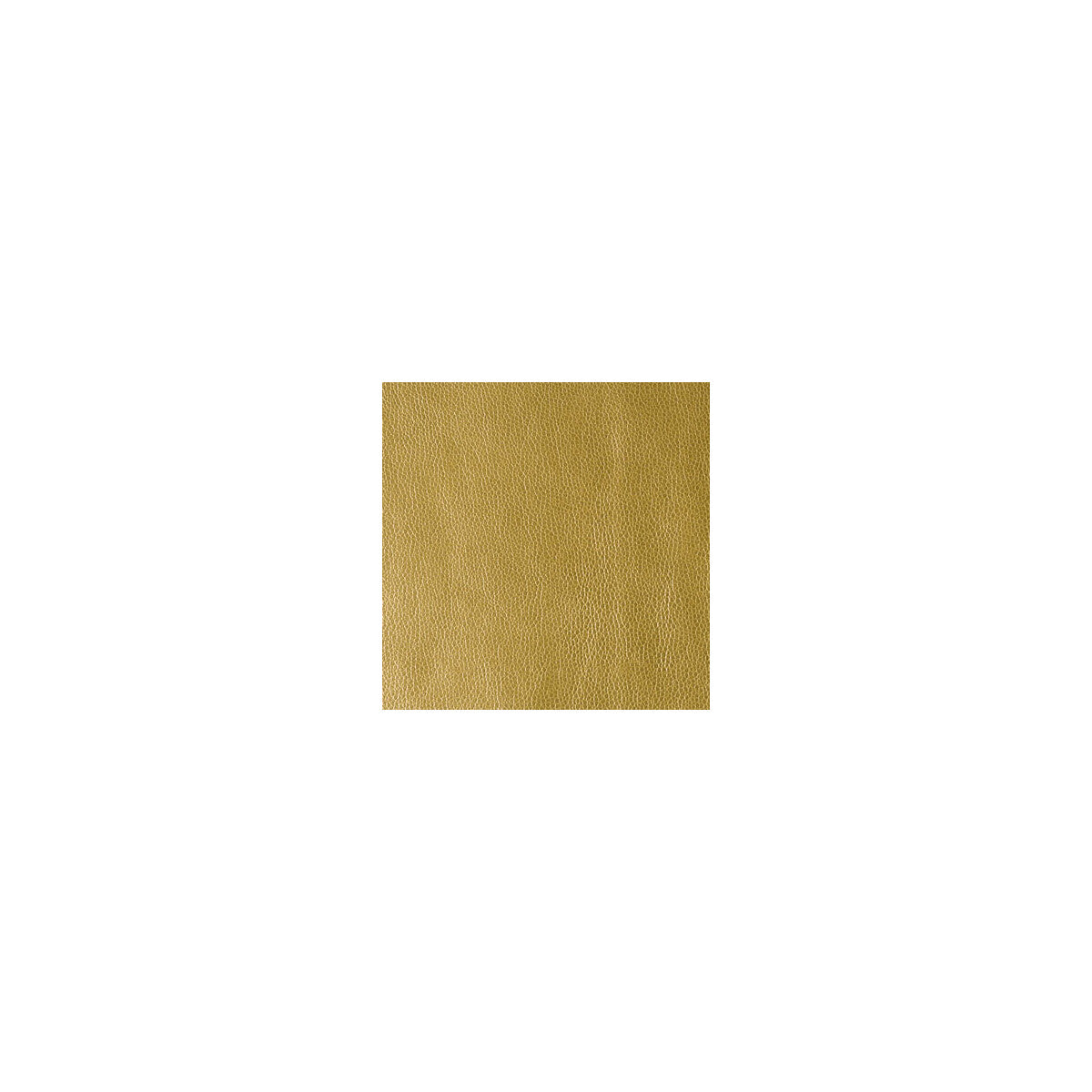 KRAVET CONTRACT RUMORS RISING SUN