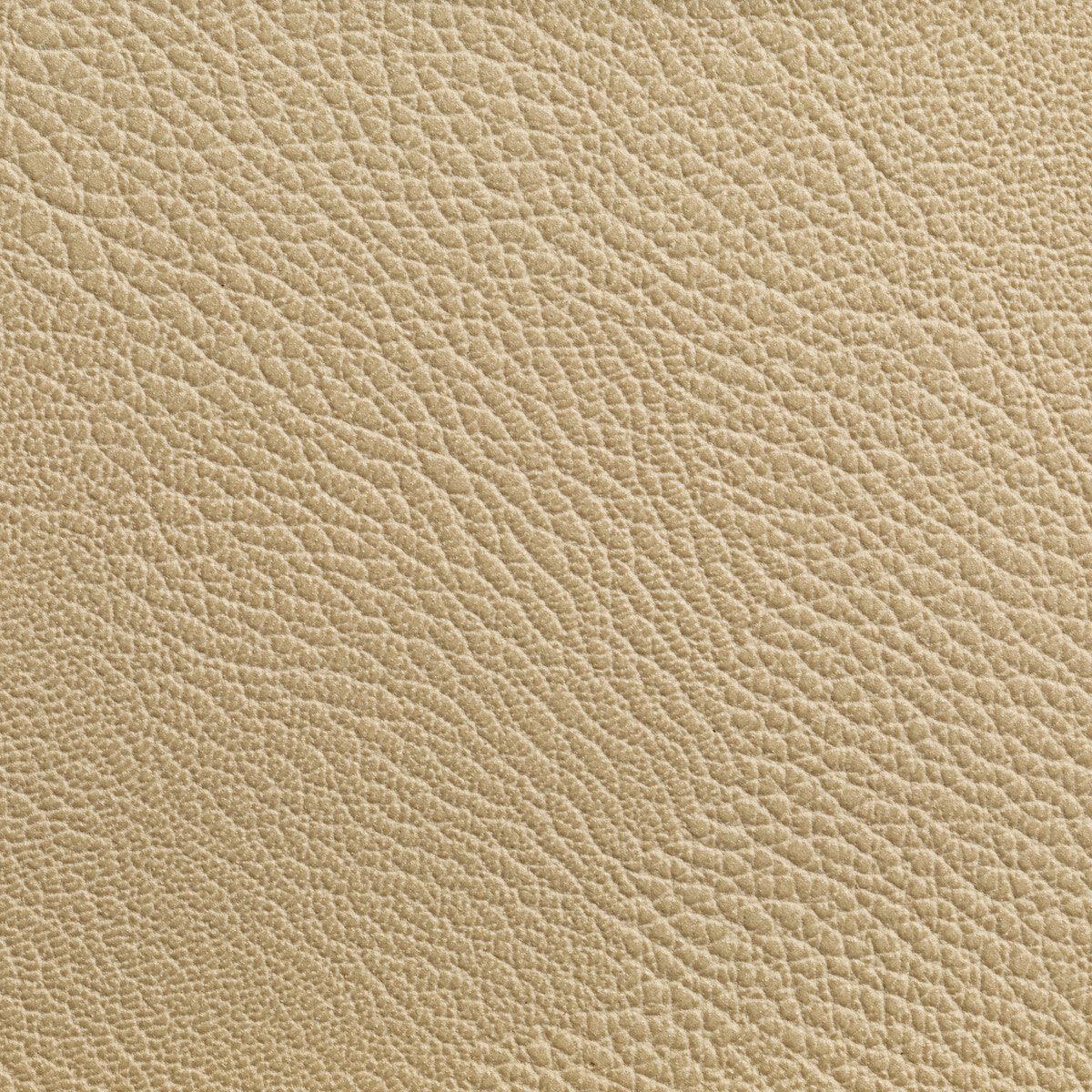 KRAVET CONTRACT RUSTLER WHEAT