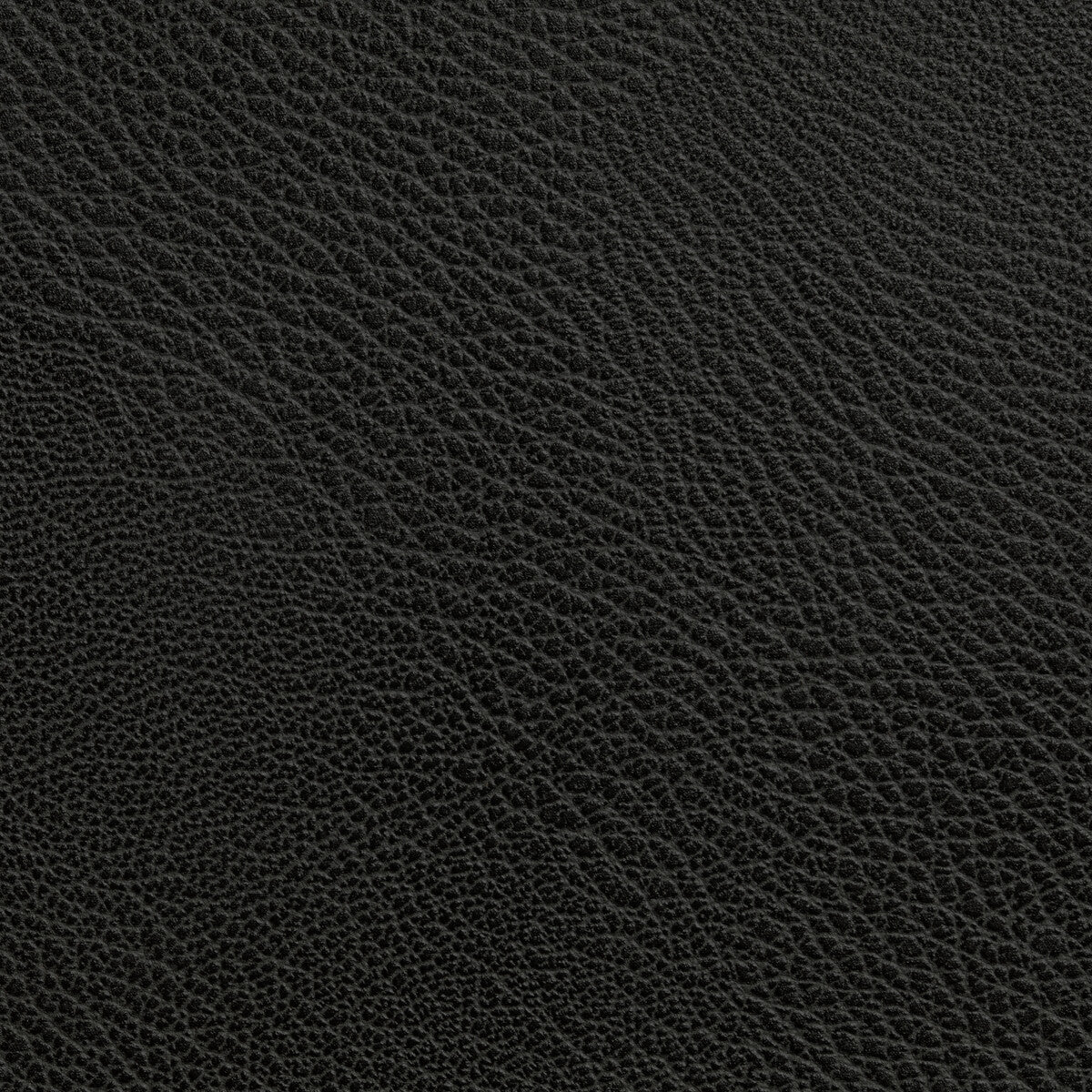 KRAVET CONTRACT RUSTLER STALLION
