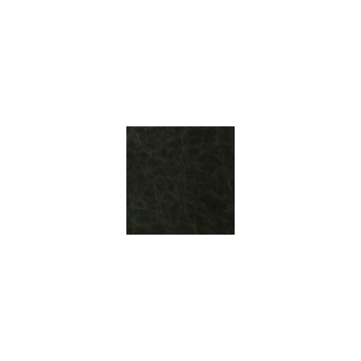 KRAVET CONTRACT SANTINA LODEN