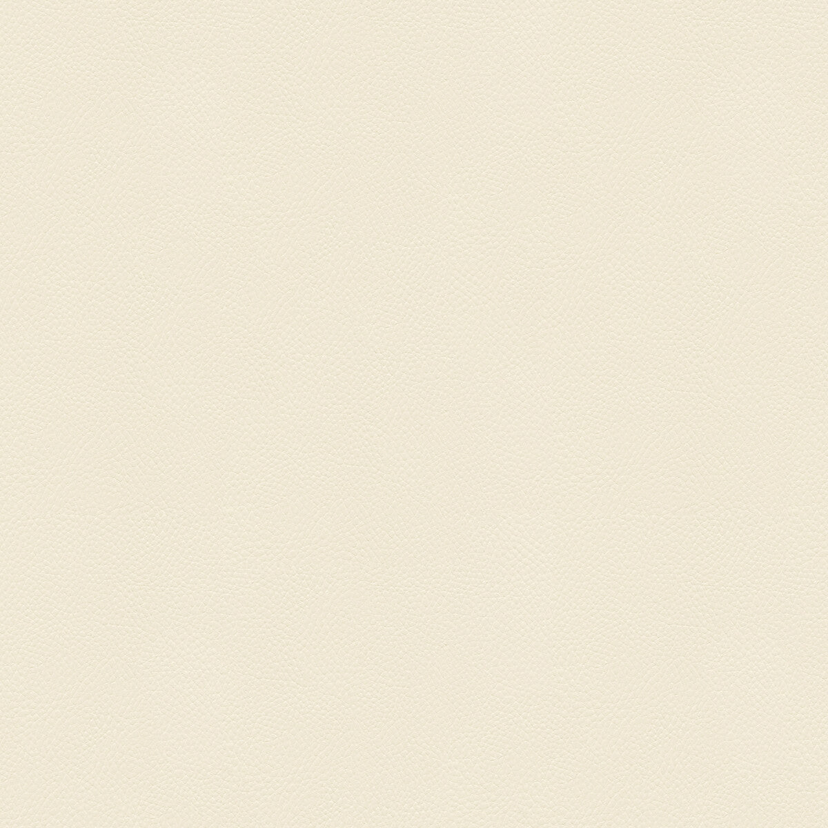 KRAVET COUTURE SIDE KICK BLANC