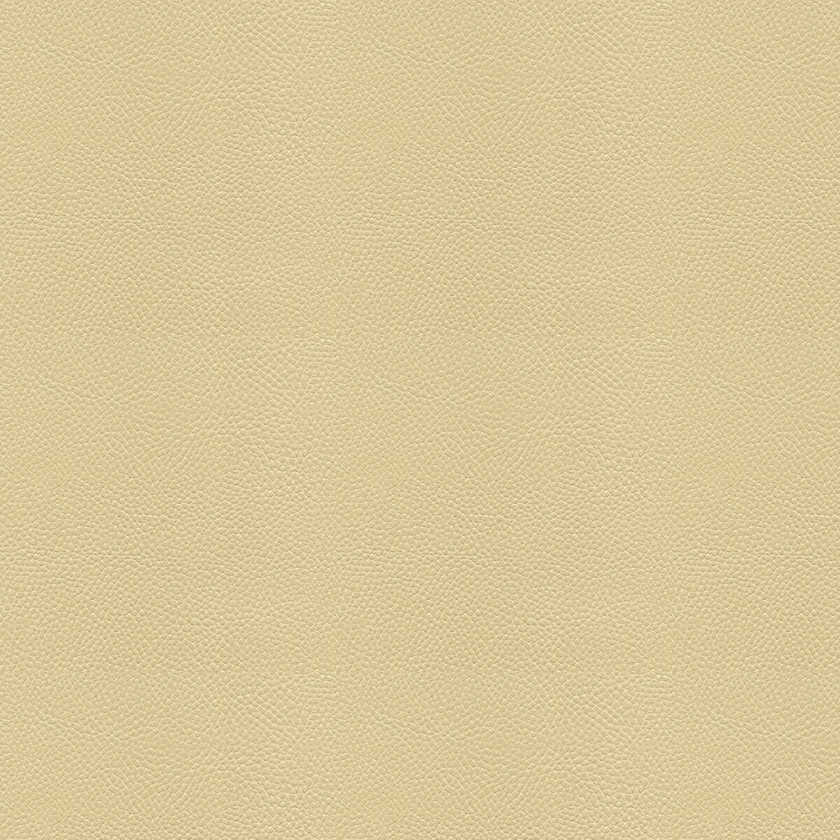 KRAVET COUTURE SIDE KICK FOG
