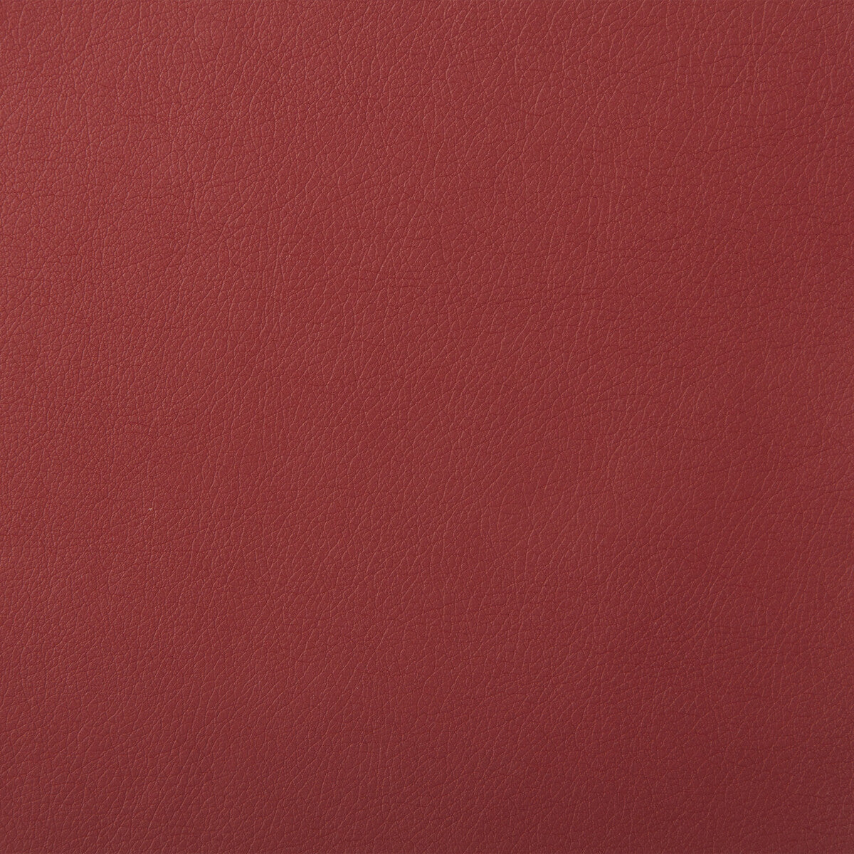 KRAVET DESIGN KRAVET DESIGN SOLARIS-19