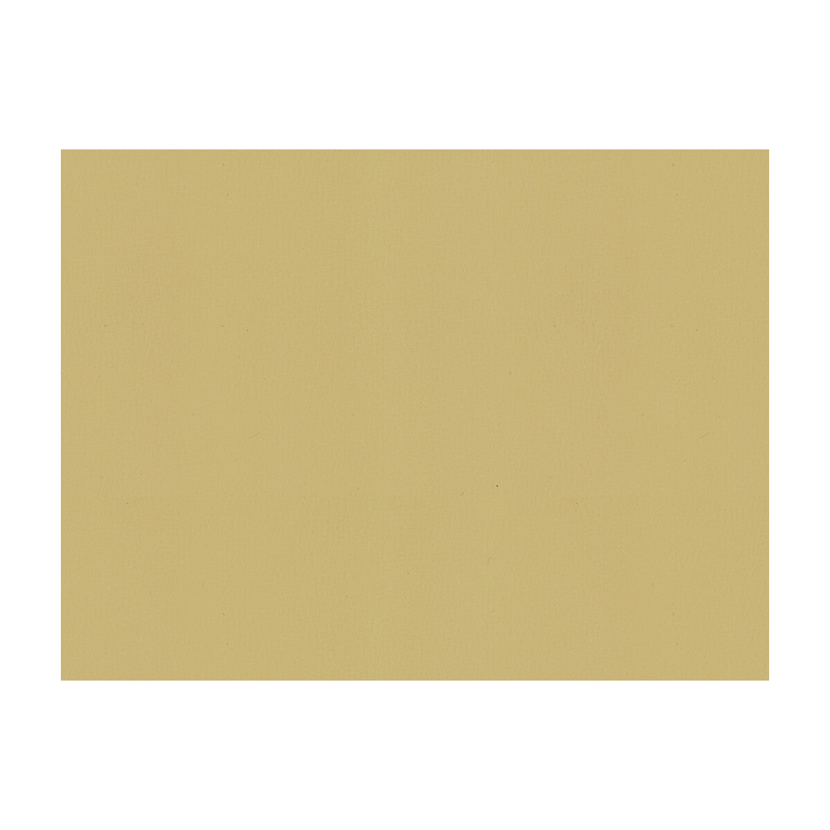 KRAVET CONTRACT SOL CANVAS