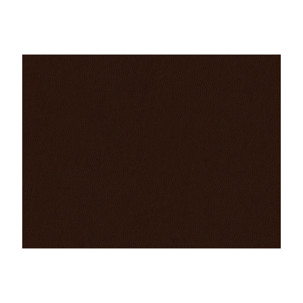 KRAVET CONTRACT SOL TRUFFLE