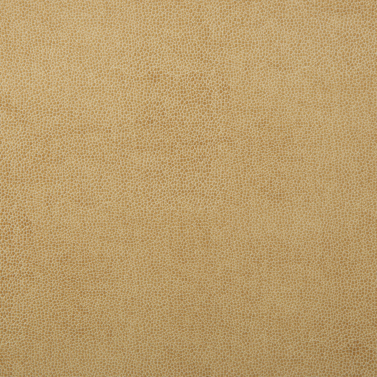 KRAVET DESIGN KRAVET DESIGN SPARTA-1