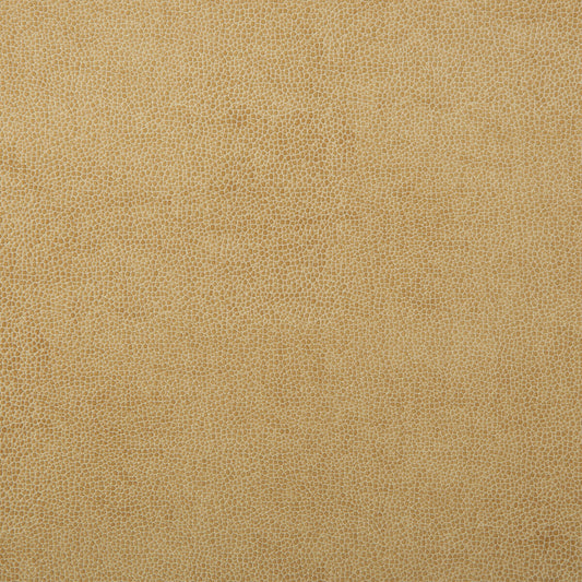 KRAVET DESIGN KRAVET DESIGN SPARTA-1