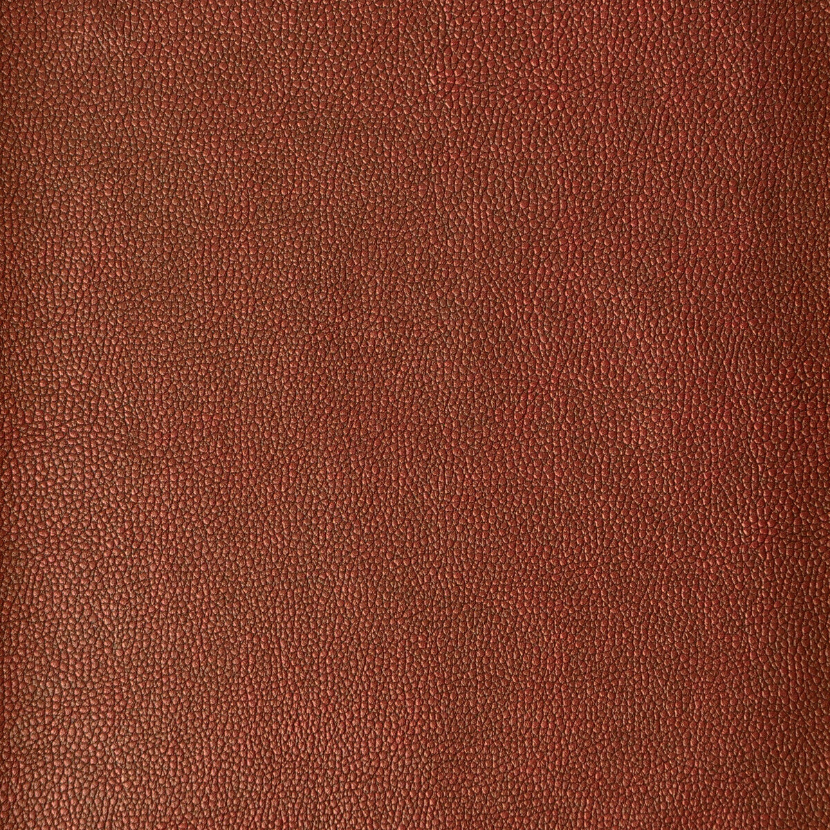 KRAVET DESIGN KRAVET DESIGN SPARTA-124