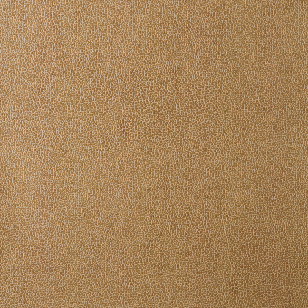 KRAVET DESIGN KRAVET DESIGN SPARTA-16