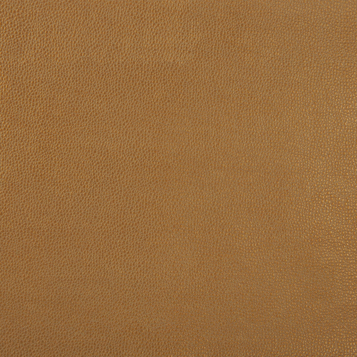 KRAVET DESIGN KRAVET DESIGN SPARTA-4