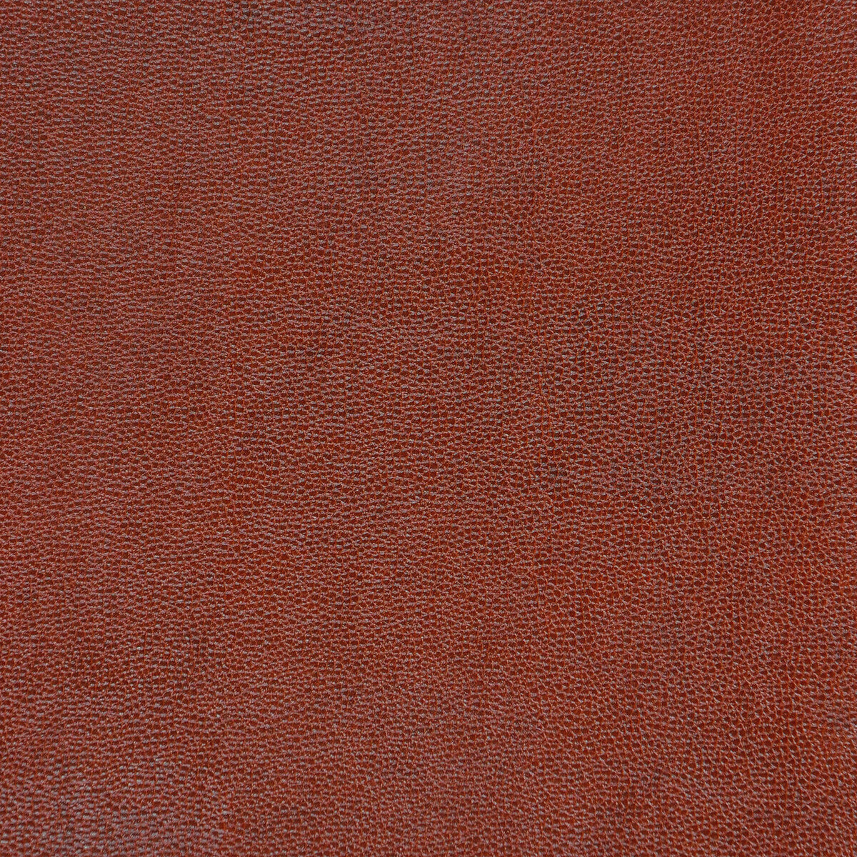 KRAVET DESIGN KRAVET DESIGN SPARTA-624