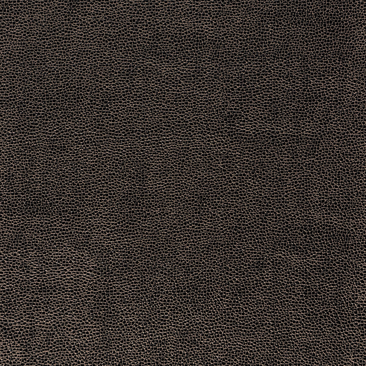 KRAVET DESIGN KRAVET DESIGN SPARTA-811