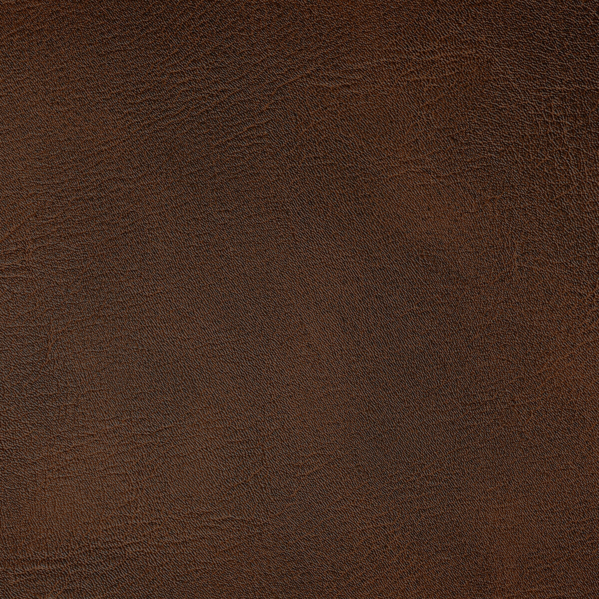 KRAVET CONTRACT SPUR BRONCO