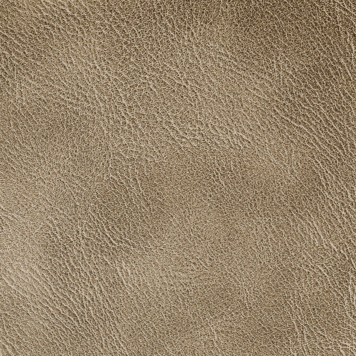 KRAVET CONTRACT SPUR COCOA