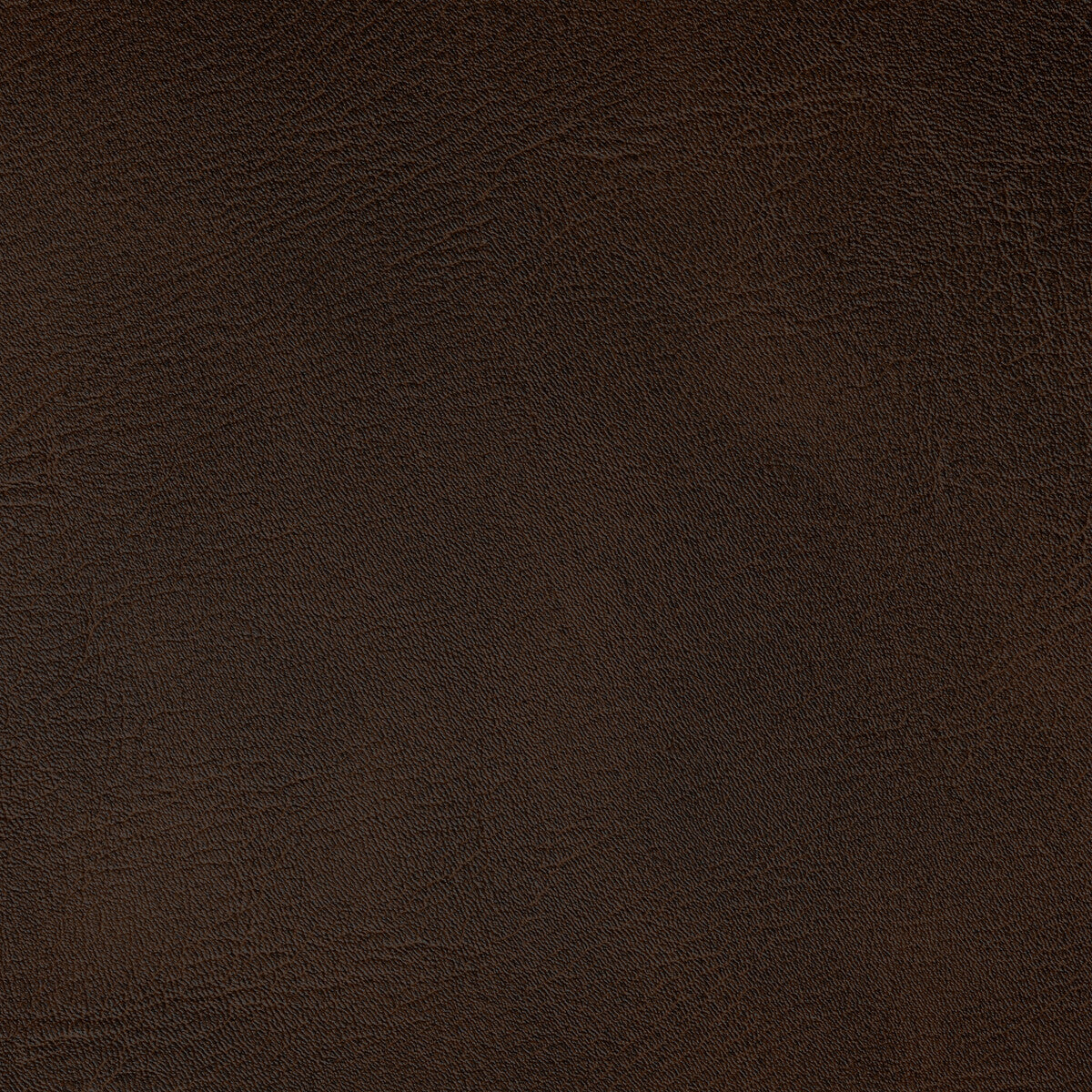 KRAVET CONTRACT SPUR JAVA