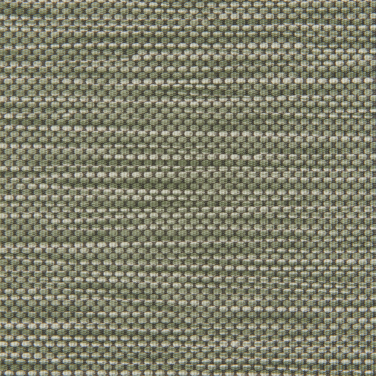 KRAVET CONTRACT STITCH CACTUS