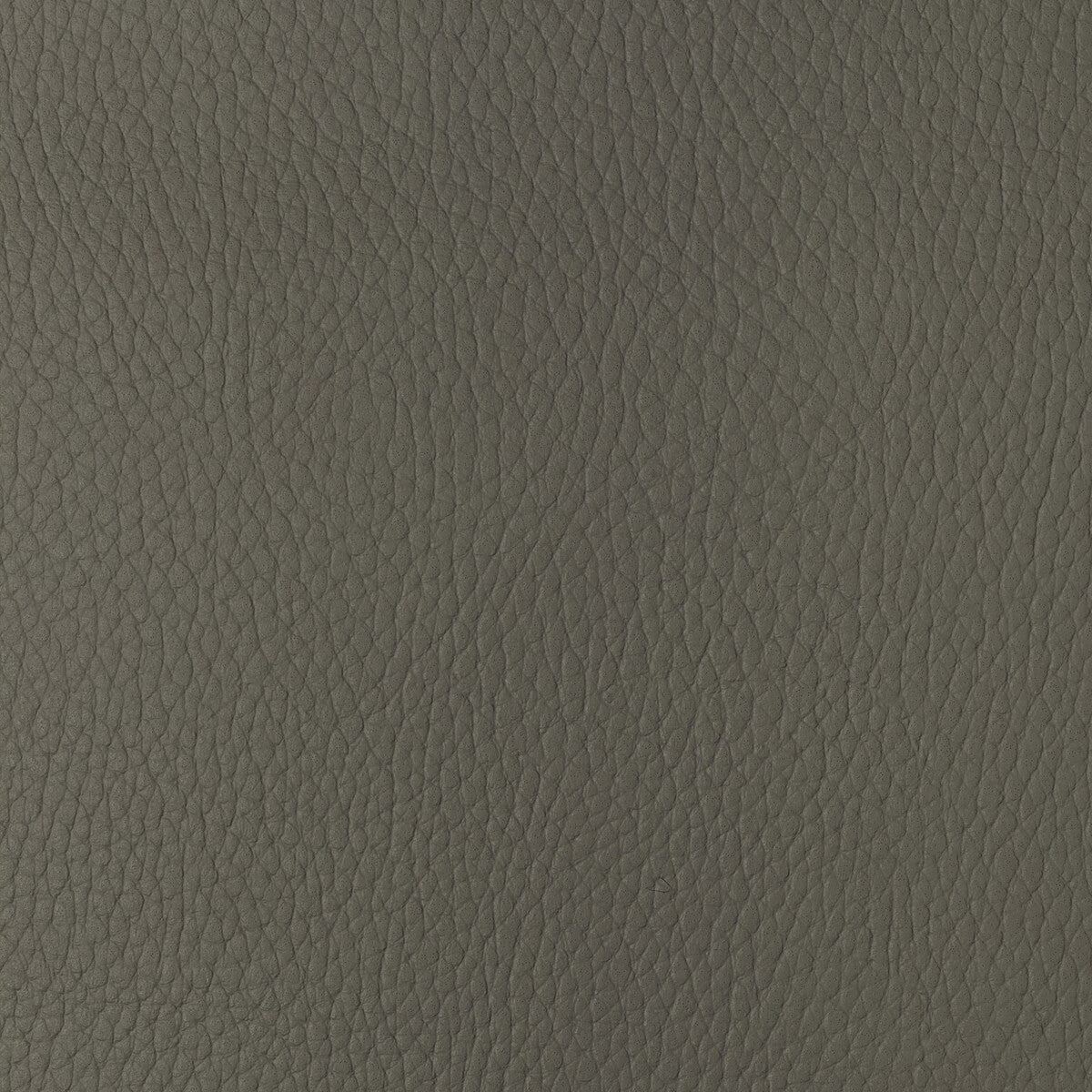 KRAVET DESIGN KRAVET DESIGN SUGARMAPLE-11