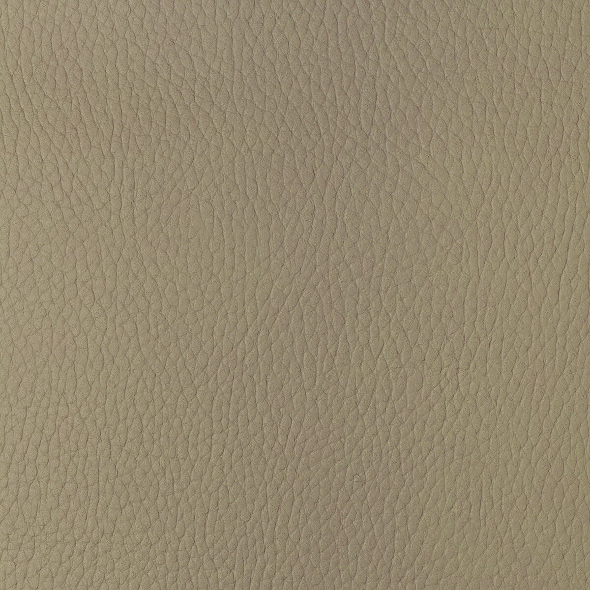 KRAVET DESIGN KRAVET DESIGN SUGARMAPLE-16