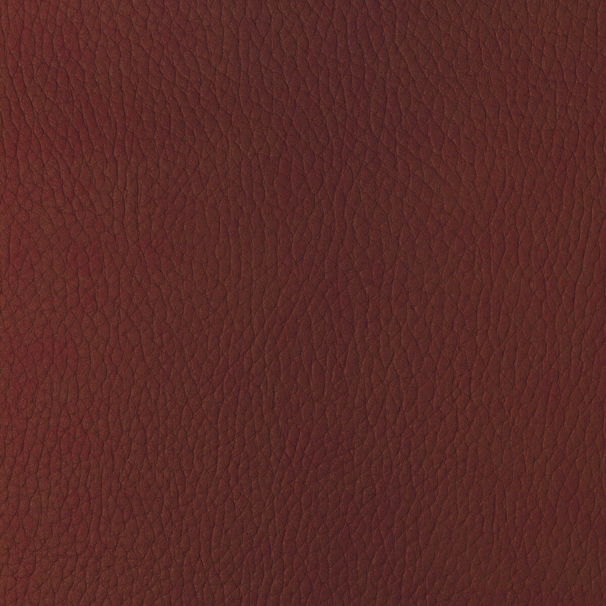 KRAVET DESIGN KRAVET DESIGN SUGARMAPLE-19