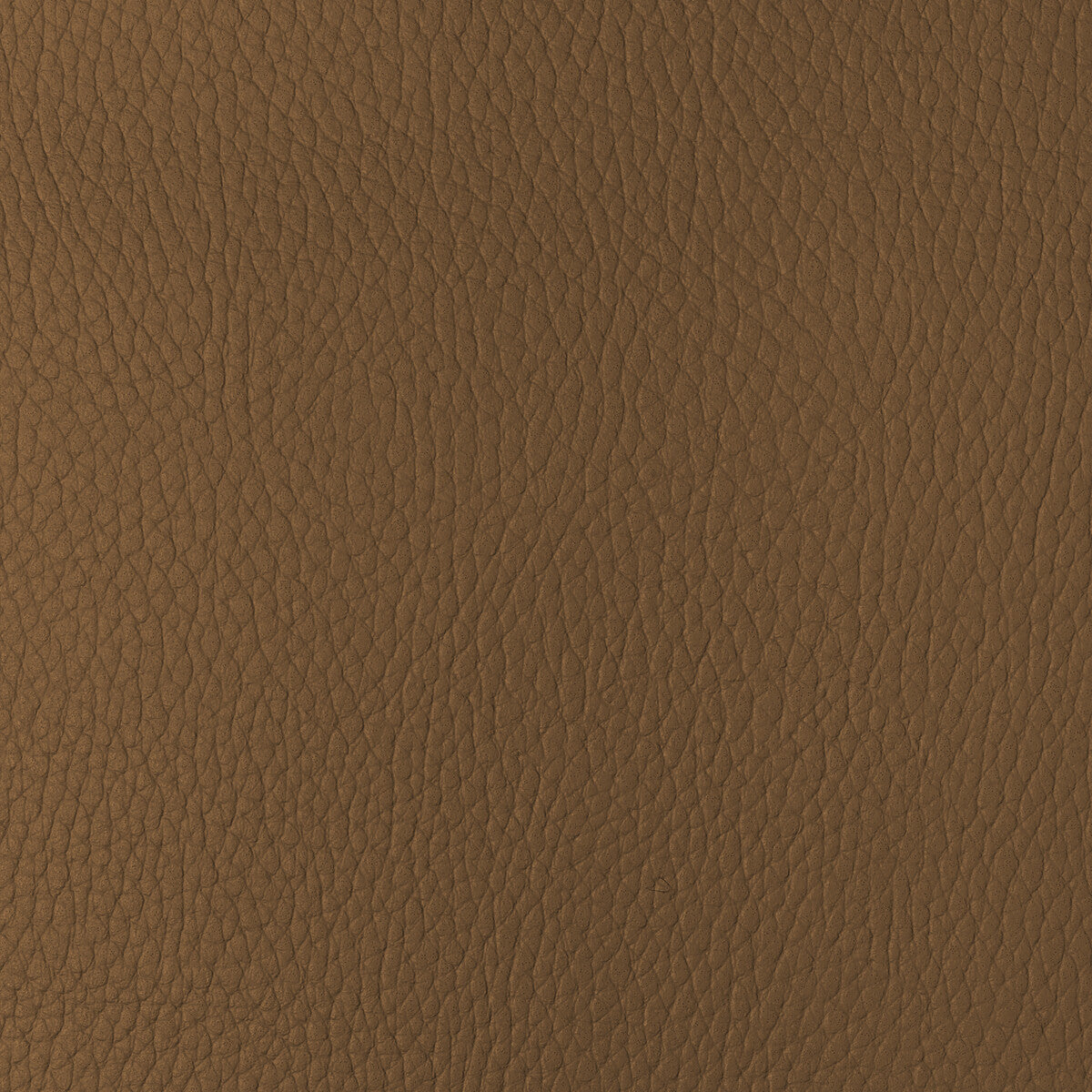 KRAVET DESIGN KRAVET DESIGN SUGARMAPLE-4