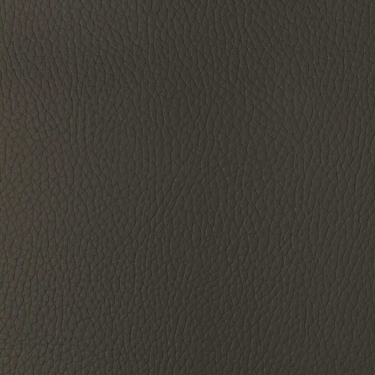KRAVET DESIGN KRAVET DESIGN SUGARMAPLE-6