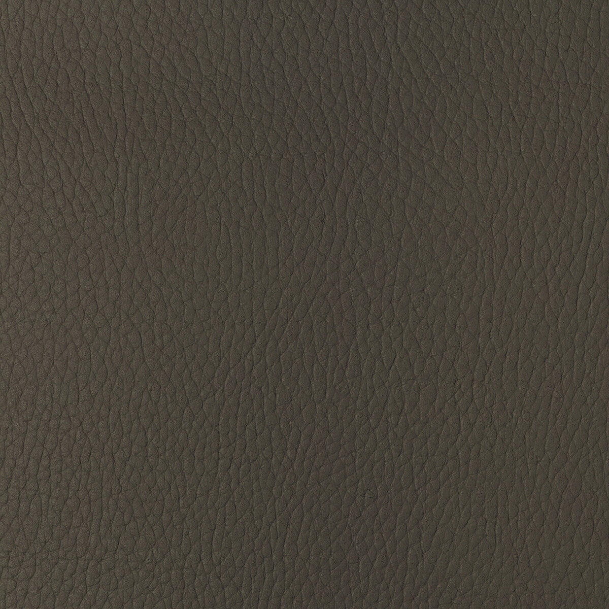 KRAVET DESIGN KRAVET DESIGN SUGARMAPLE-616