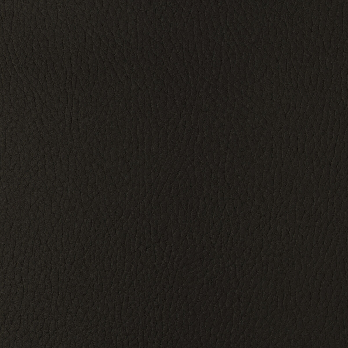 KRAVET DESIGN KRAVET DESIGN SUGARMAPLE-66