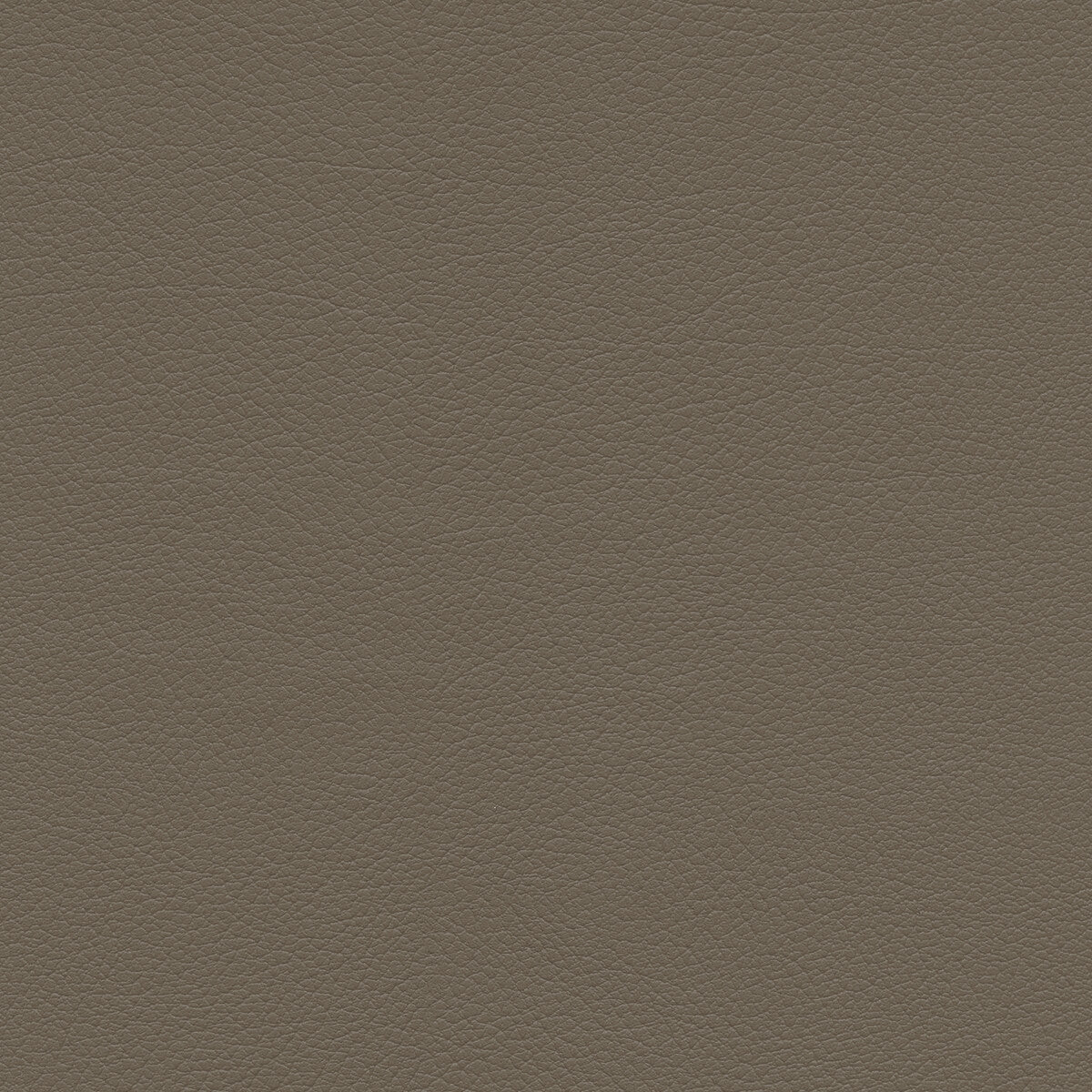 KRAVET DESIGN KRAVET DESIGN SUMAC-11