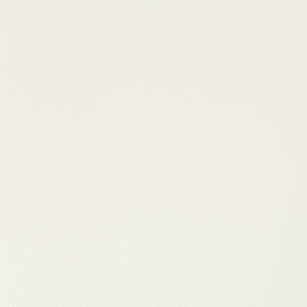 KRAVET CONTRACT SYRUS GESSO