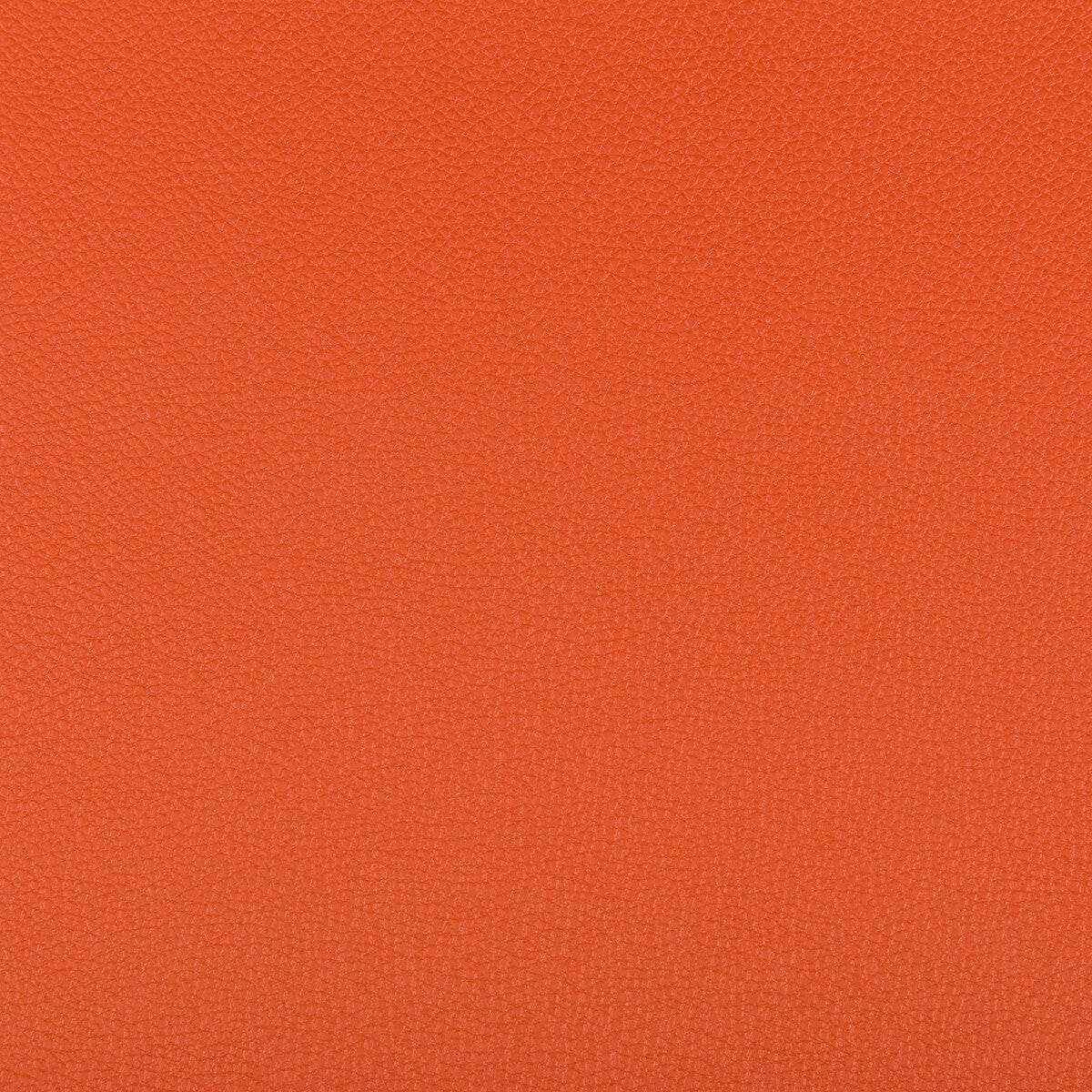 KRAVET CONTRACT SYRUS MANDARIN