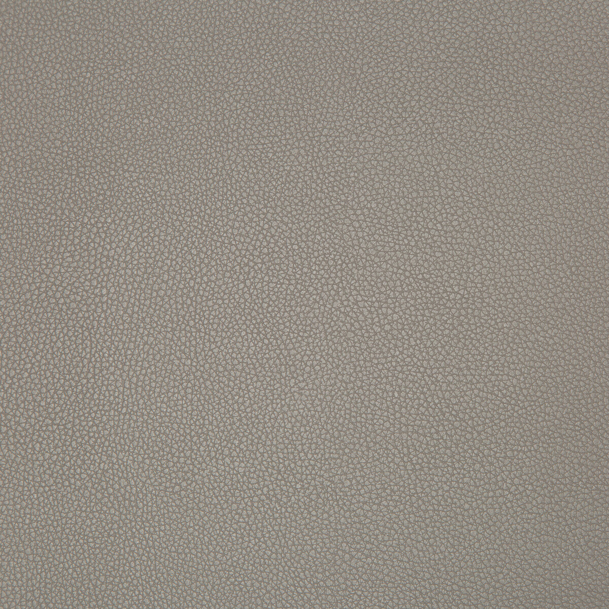KRAVET CONTRACT SYRUS TRUFFLE