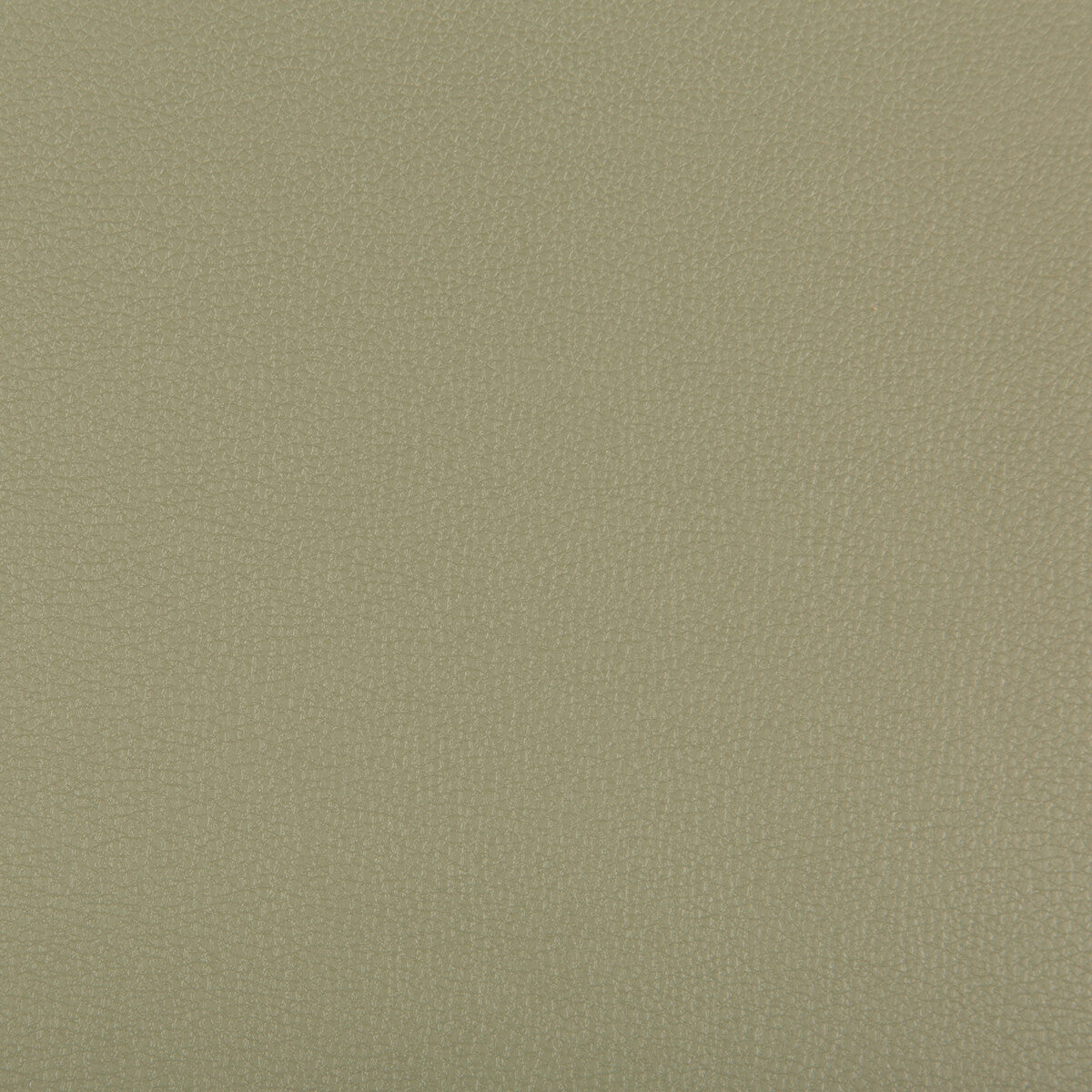 KRAVET CONTRACT SYRUS SAGE