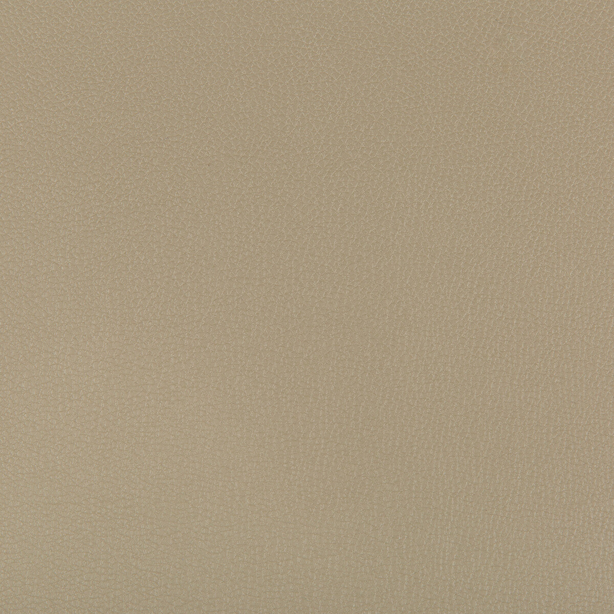 KRAVET CONTRACT SYRUS ELM