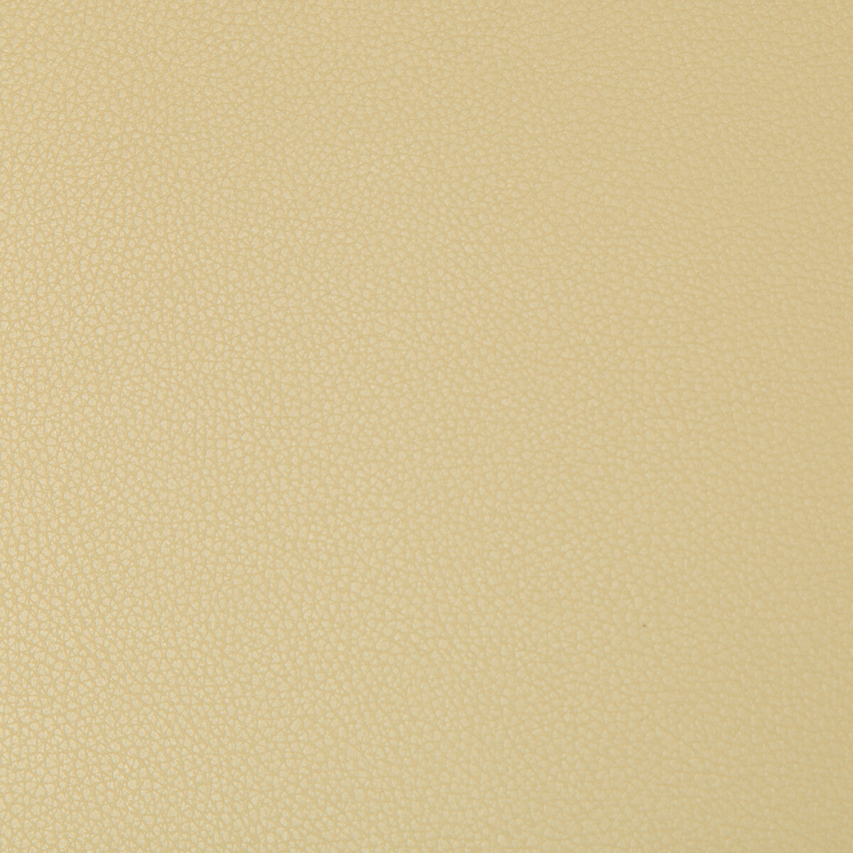 KRAVET CONTRACT SYRUS FLAX