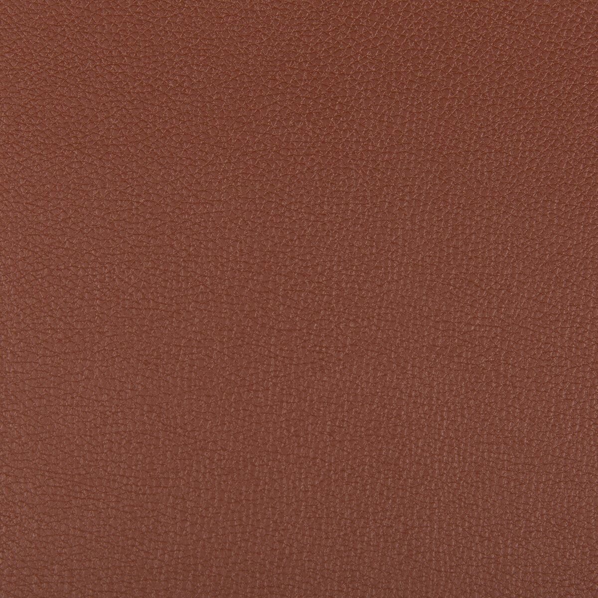 KRAVET CONTRACT SYRUS ROOTBEER