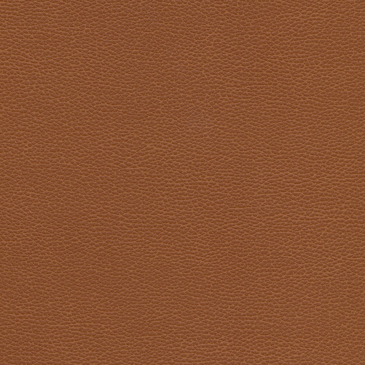 KRAVET DESIGN KRAVET DESIGN TANNIN-6