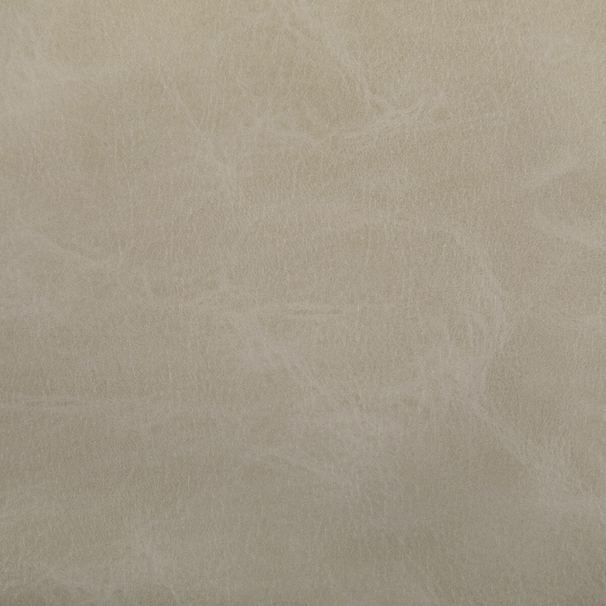 KRAVET CONTRACT TONI DUNE